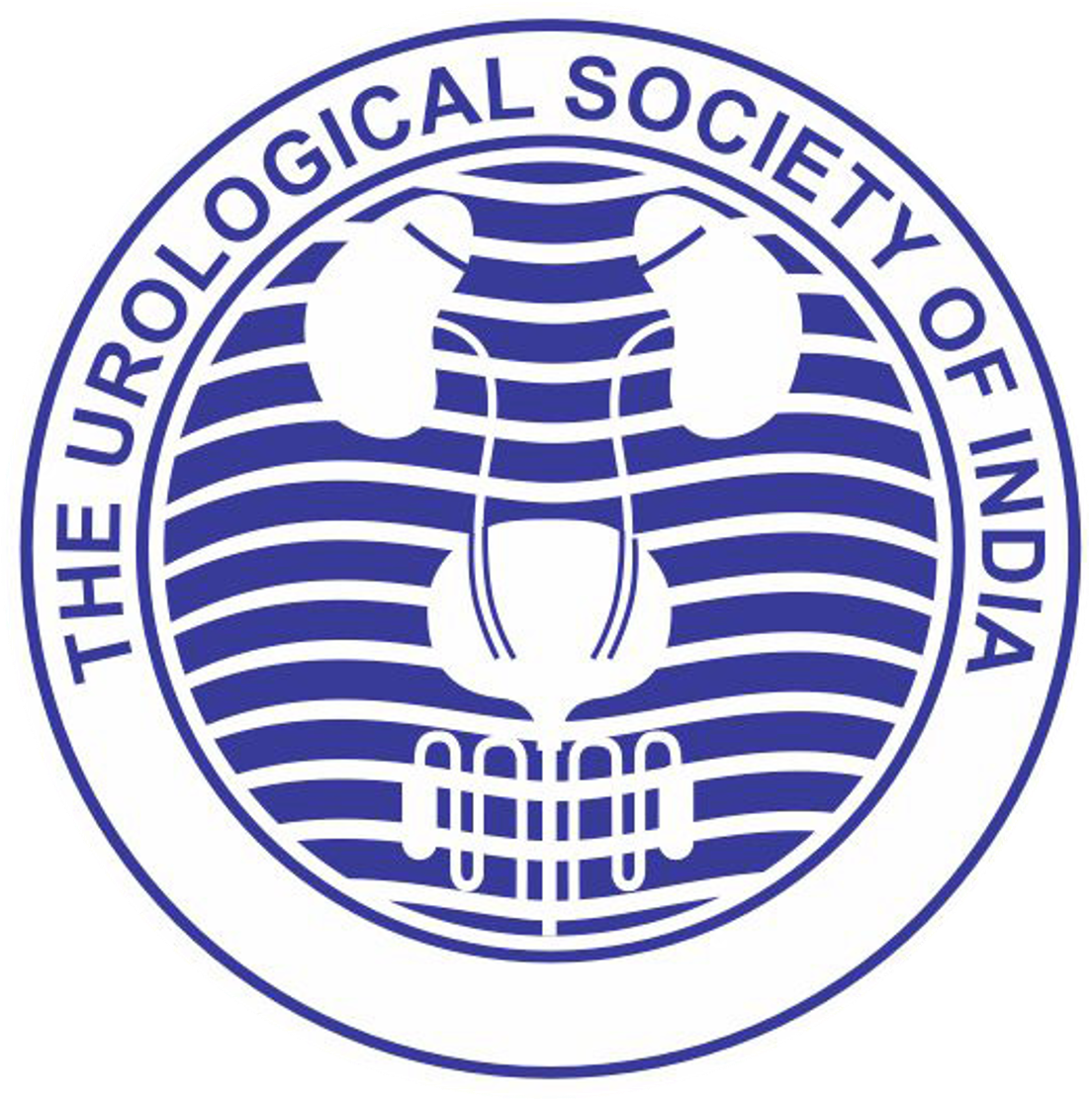 USI Logo
